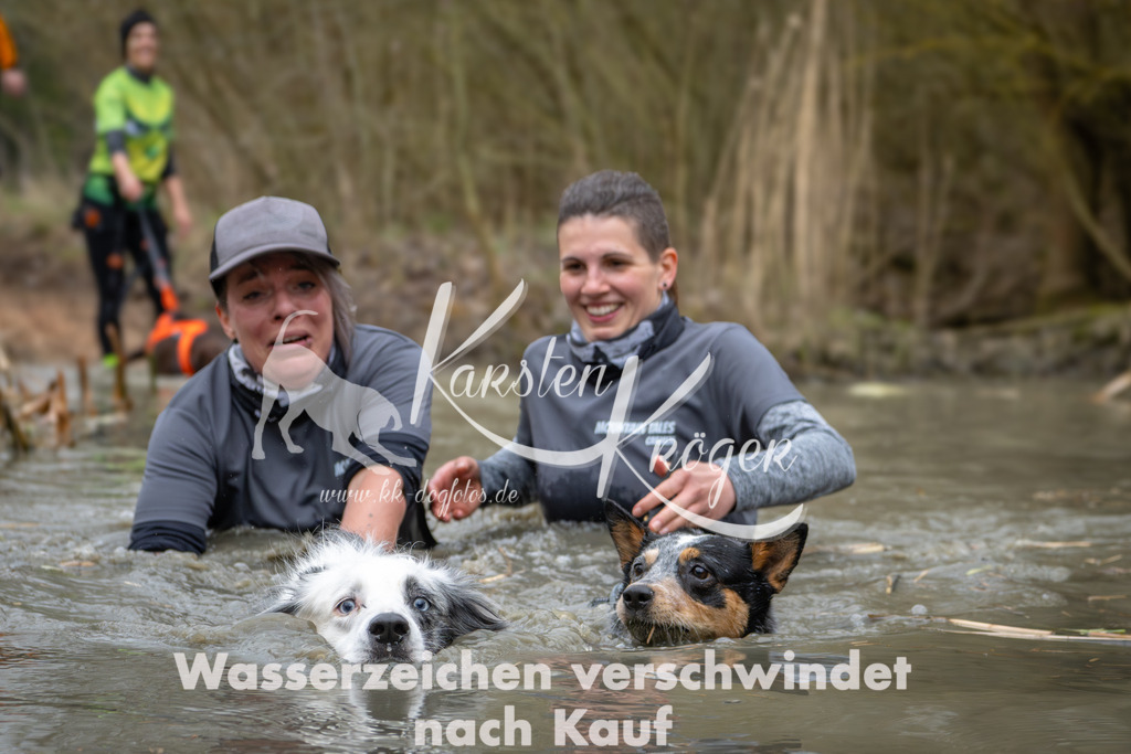 1354_ZZ94400 | kk-dogfotos