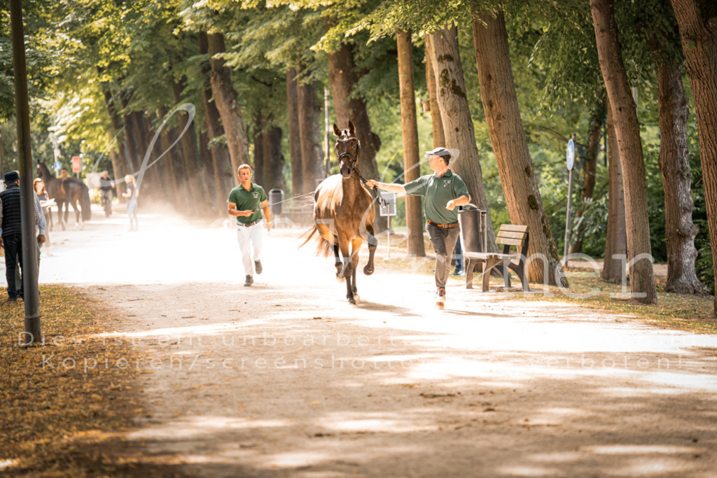 FrPfM00156 | Leoni Ertmer Photography - Realisiert mit Pictrs.com