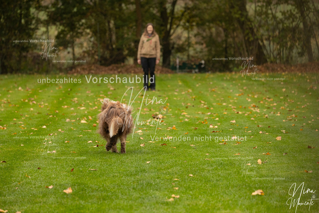 _16A0528 | Einzigartige Fotos von Hunden & Menschen –Actionfotos, Portraits, Vereinsaufnahmen & Paarshootings – authentisch, lebendig & mit Herz.