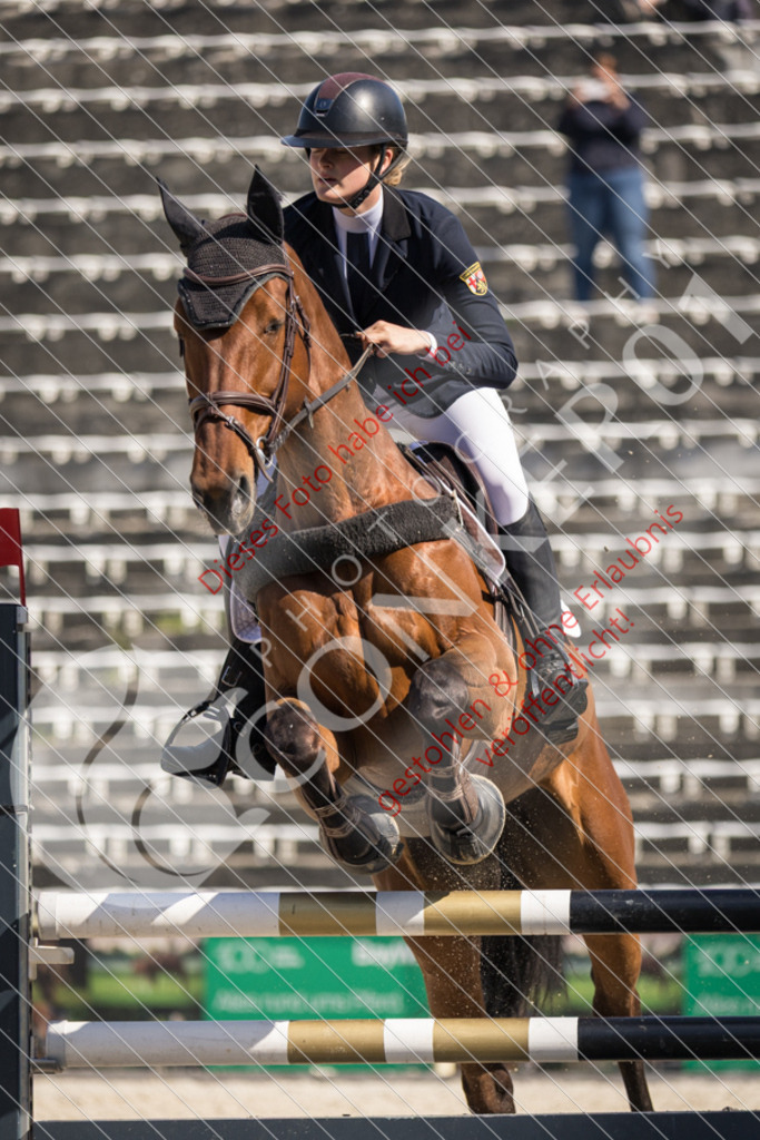 IMG_3934 | Sport-, Event- und Tierfotos in Profiqualität. Einfach auswählen, bestellen und herunterladen. Dein Moment – perfekt festgehalten.