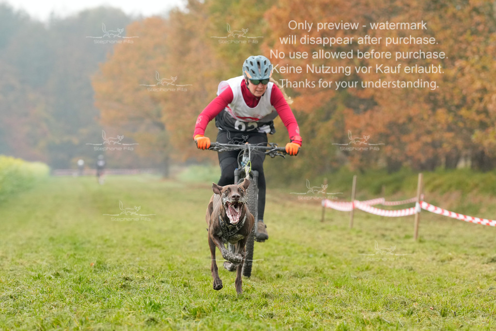 Visbeck_Sa_Bike-135 | stephaniefillaphotographie - Realisiert mit Pictrs.com