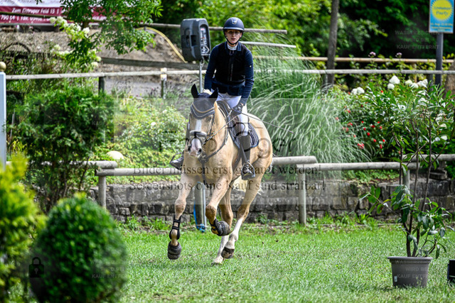 Bissendorfer Reitertage | Entdecke hochwertige Reitturnierfotos von Foto Oger. Professionell, emotional und authentisch – jetzt Lieblingsmomente im Shop bestellen. - Realized with Pictrs.com