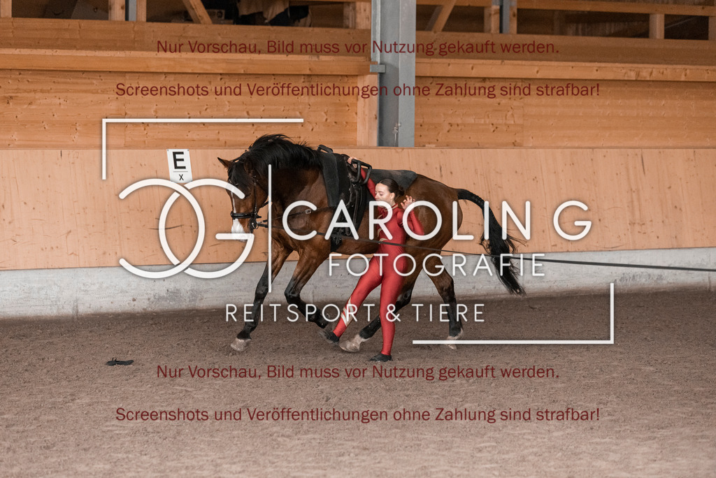 DSC_2121 | Turnierfotografin Carolin Gieschke,Reitsport Turnierfotografie Carolin G Fotografie | Turnierfotos aus Kirchheim/Teck, Esslingen, Stuttgart und dem Bodenseekreis