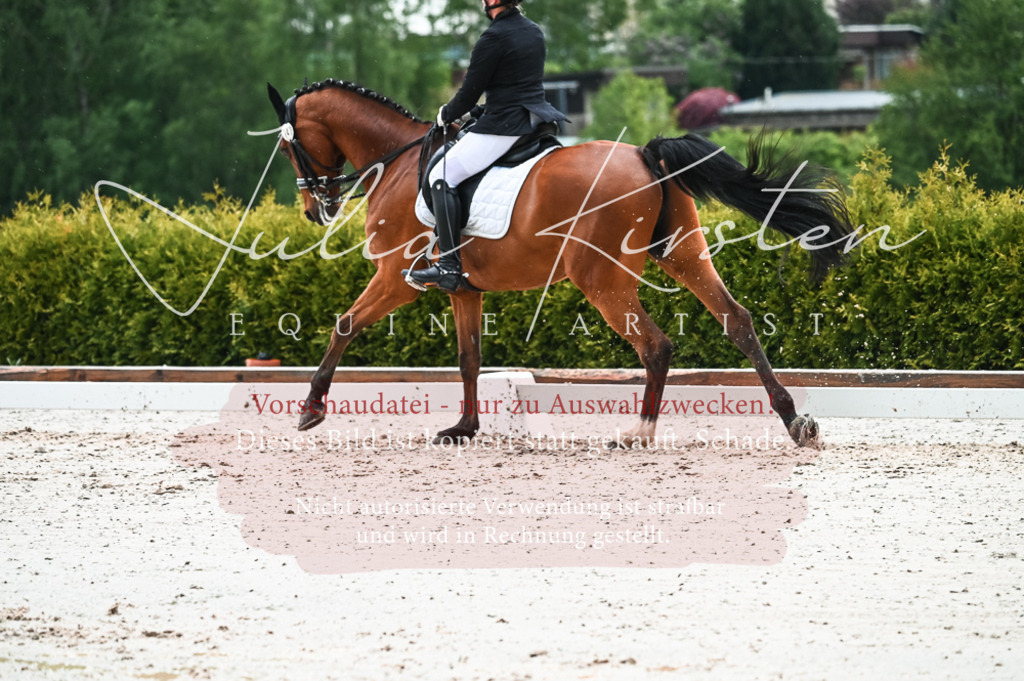DSC_4401 | Pferde- und Turnierfotografie in Westsachsen. Pferdeportraits, Auftragszeichnungen und intuitive Kunst.