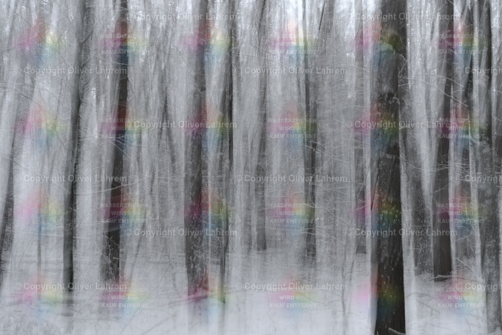 Impression eines Monochromen Heimatwaldes | Blick in den winterlichen Wald von Klein Welzheim / Seligenstadt.Die Bilder wurden mit einer Fotografische Technik aufgenommen und haben dadurch ein spezielle Ästhetik.