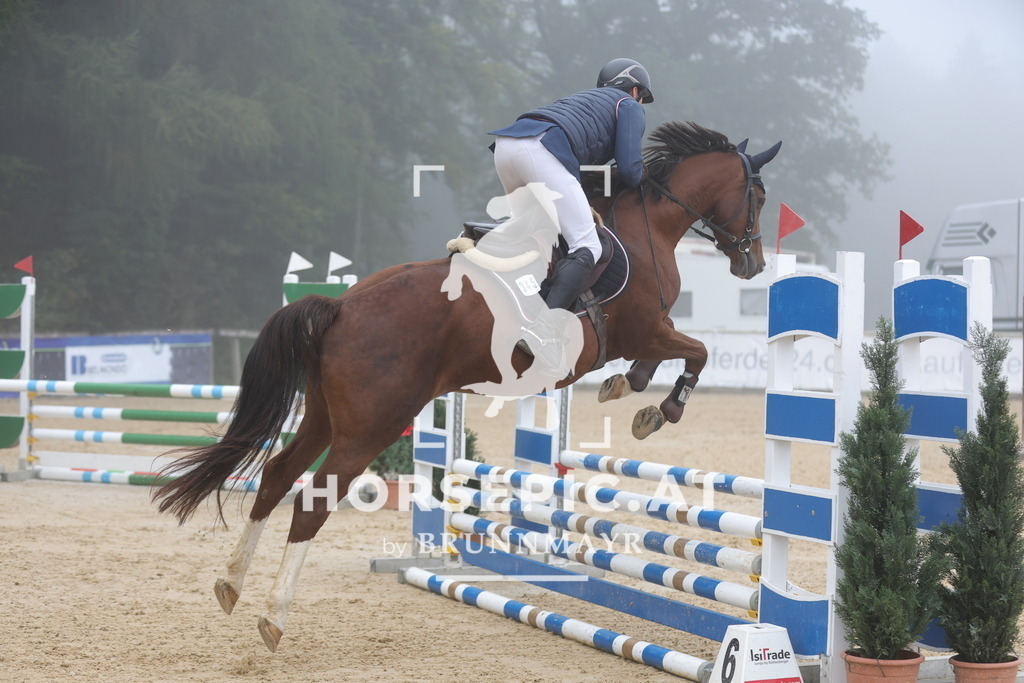 0P6A0417 | Willkommen bei Brunnmayr - Design & Fotografie – Ihrem Spezialisten für Reitturniere und Pferdeveranstaltungen in Oberösterreich, Salzburg und Bayern! Seit über 17 Jahren sind wir leidenschaftlich dabei.