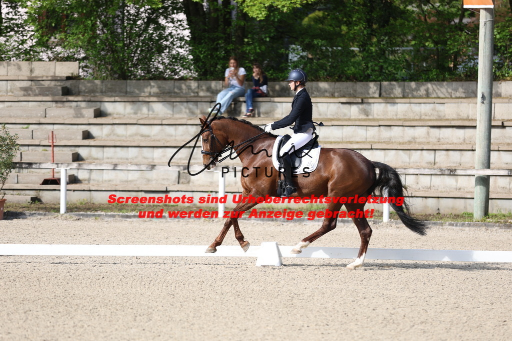 A40A3568 | lmwpictures - Realisiert mit Pictrs.com