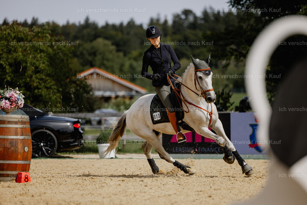 Svea13FHC2025-20476 | working equitationturnier fotograf videograf stoibphotography marixx film working equitation deutschland reitsport turnierfotografie eventfotografie equestrian events