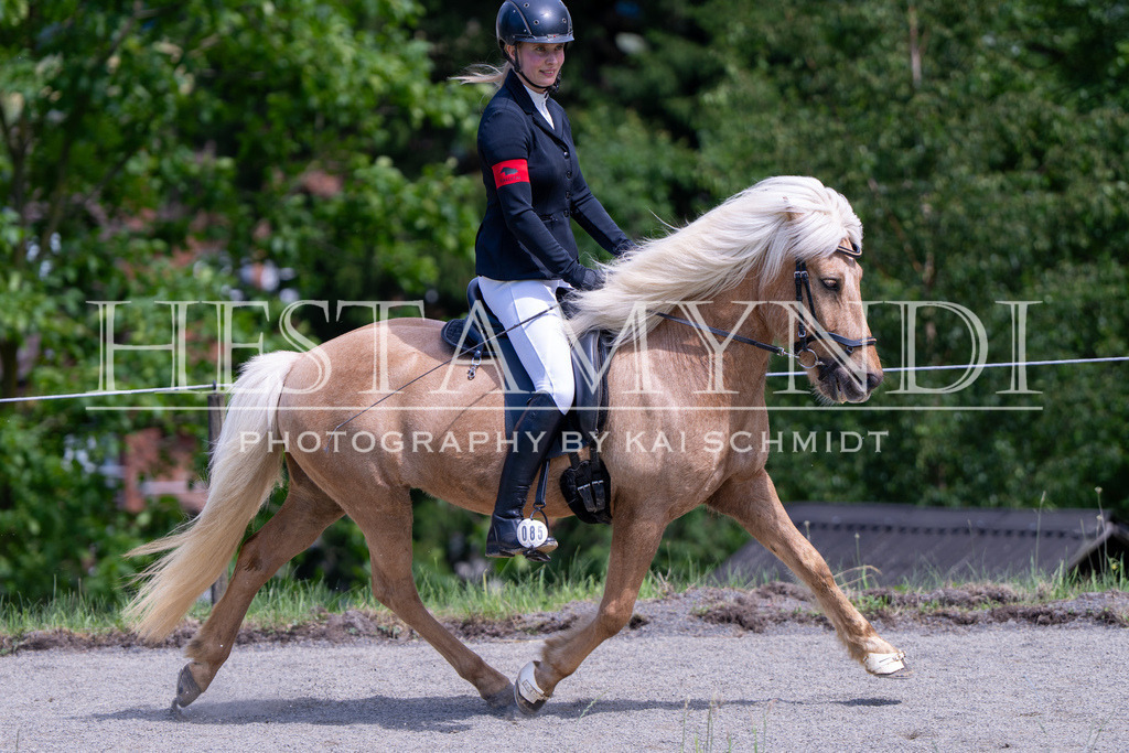 KAI02652 | Ihr sucht einen Fotografen für eure nächste OSI? Ich begleite auch euer Turnier für Islandpferde fotografisch.  - Realisiert mit Pictrs.com