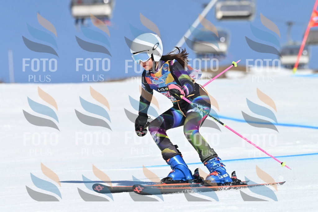 BGV_8187 | holidayphoto