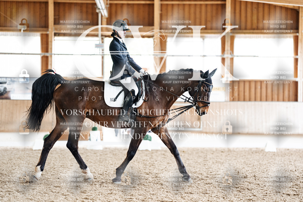 CK901771 | Turnierfotografie Pferdefotografie Trier Rheinland-Pfalz Pferdesport Reitsport Tierfotografie Sportfotografie Pferdevideo Pferdevideografie Equestrianvideography equestrianphotography  - Realisiert mit Pictrs.com