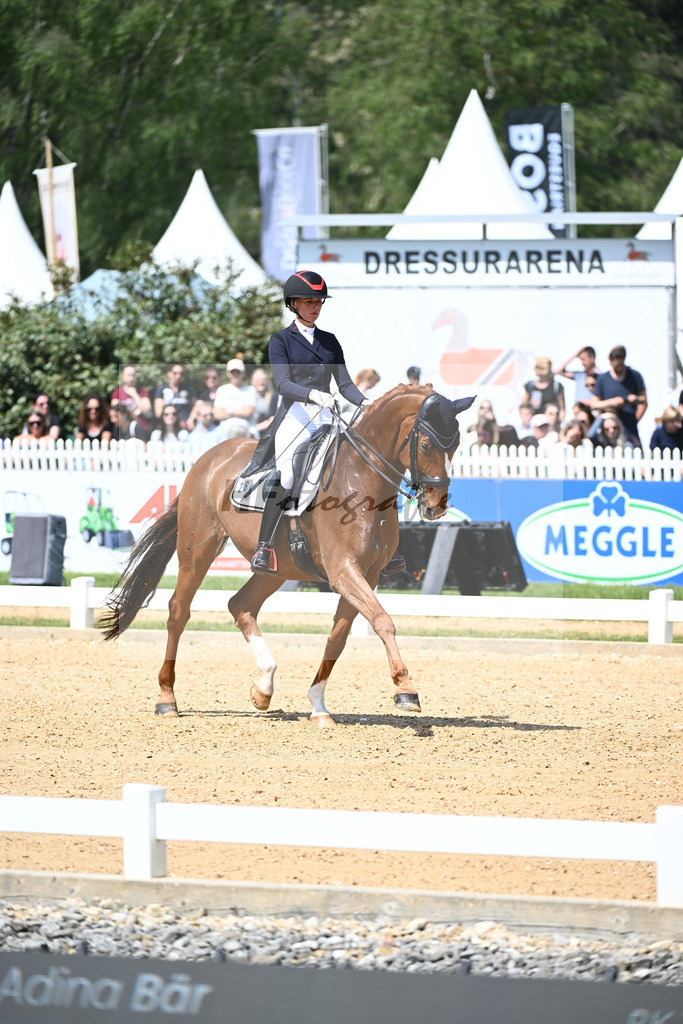 Baer_Superstar_12243739 | hf-fotografie - Realisiert mit Pictrs.com