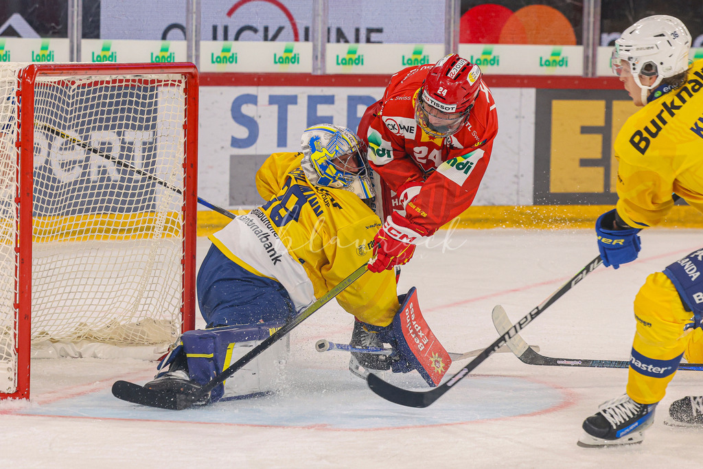 09112025_EHCB vs HCD_wb-3617 | Sportbilder, Sportfotograf, Hochzeits- und Eventfotografin, Flugshows, Portraits und Tiershooting, Aviation, Downhill, Nationalleague, Swissleague, International