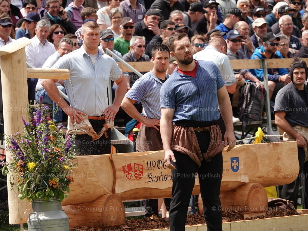 DSC07192 | Schwingen - Realisiert mit Pictrs.com