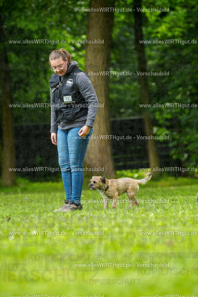 @allesWIRTHgut_Tierfotografie - www.allesWIRTHgut.de - 7R501921 | Professionelle Tierfotografie in Mönchengladbach von Daniel Wirth (allesWIRTHgut). Liebevolle & natürliche Bilder von Hunden & Katzen für unvergessliche Erinnerungen.