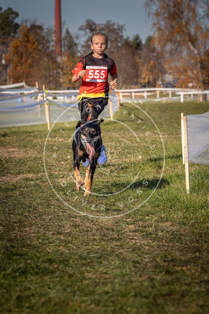 CaniXpix_0L8A7754 | Hundefotografie, Tierfotograf, Pfotenfotografie, Fotoshooting Hund, Hunde Portrait, Hundesport, Hundeportraits, Heideshooting, Hunde, Sportfotograf, Hundefotograf, Turnierhundsport, THS,  - Realisiert mit Pictrs.com