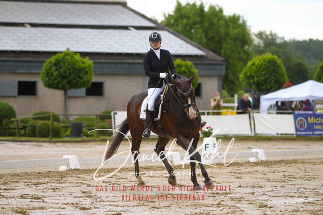 DKP40079 | Turniersportfotografie; Pferdefotografie; Dressurfotografie