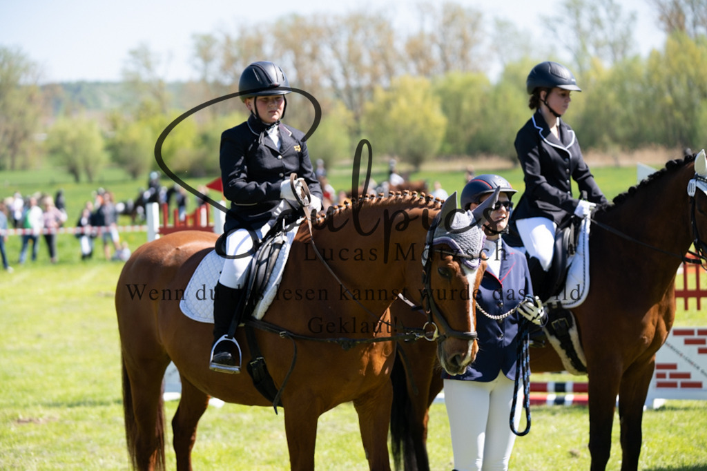 A7V01232 | Pferdefotograf