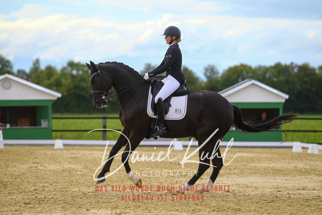 DKP44807 | Turniersportfotografie; Pferdefotografie; Dressurfotografie