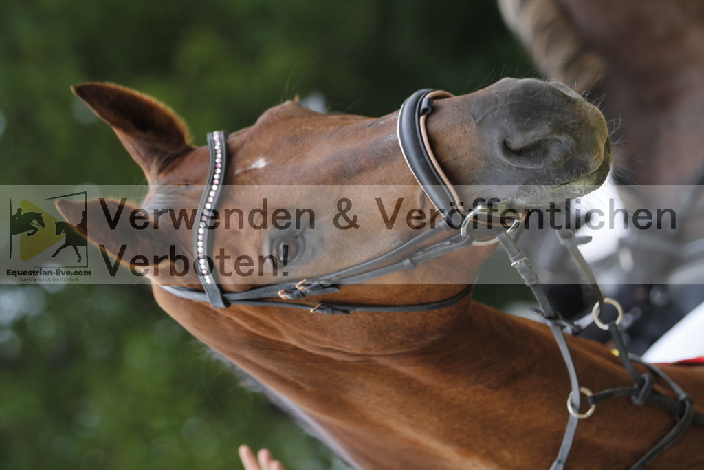 _MG_8948 | equestrian-live-com