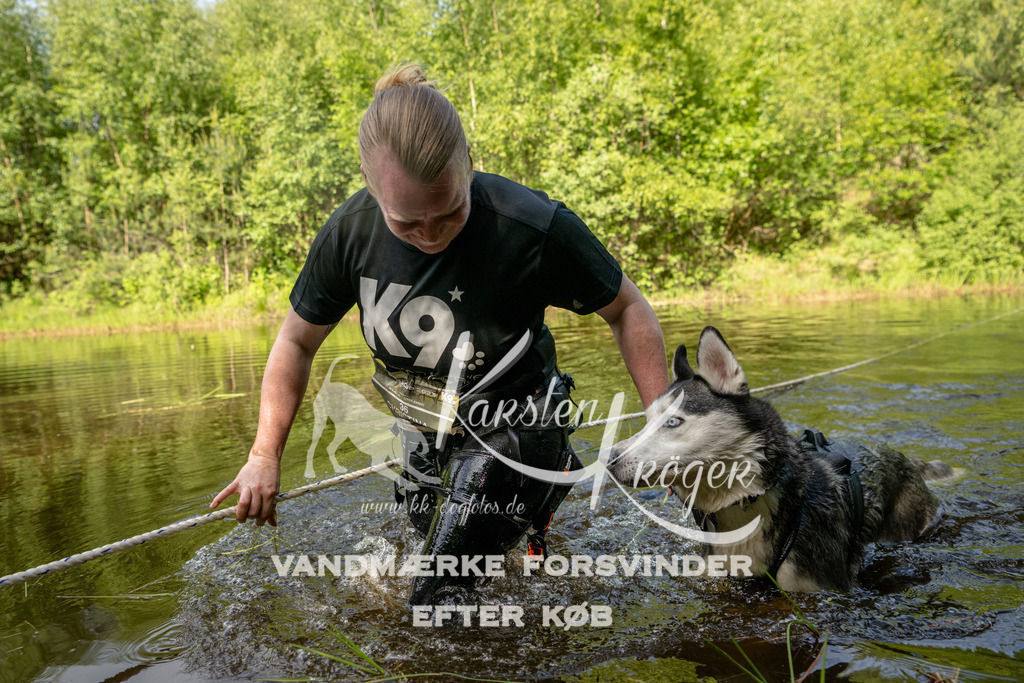 0943DKK9_ZZ92883 | kk-dogfotos