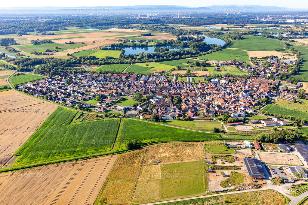 Luftbild: Ortsansicht von Norden in Neupotz im Bundesland Rheinland-Pfalz in Deutschland. Foto: IMG_142532.jpg vom 09.07.2024 durch Werner Riehm/FLY-FOTO.de