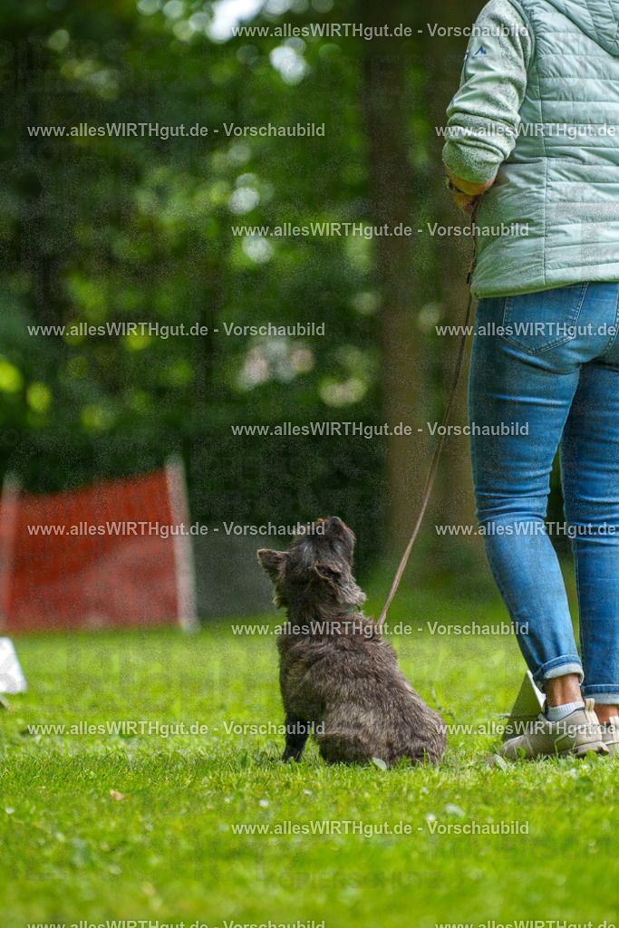 @allesWIRTHgut_Tierfotografie - www.allesWIRTHgut.de - 7R504505 | Professionelle Tierfotografie in Mönchengladbach von Daniel Wirth (allesWIRTHgut). Liebevolle & natürliche Bilder von Hunden & Katzen für unvergessliche Erinnerungen.