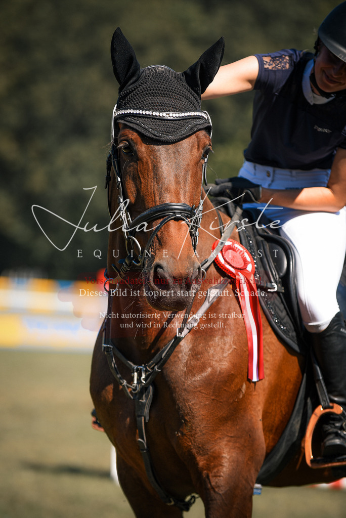 DSC_7332 | Pferde- und Turnierfotografie in Westsachsen. Pferdeportraits, Auftragszeichnungen und intuitive Kunst.