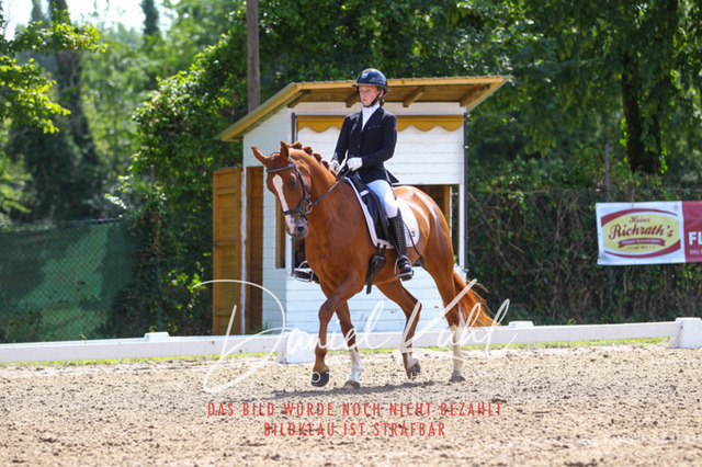 DKP42478 | Turniersportfotografie; Pferdefotografie; Dressurfotografie