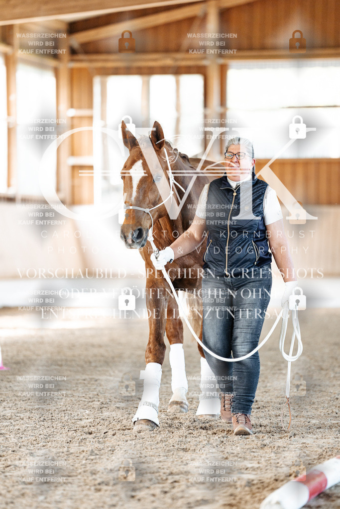 CK906164 | Turnierfotografie Pferdefotografie Trier Rheinland-Pfalz Pferdesport Reitsport Tierfotografie Sportfotografie Pferdevideo Pferdevideografie Equestrianvideography equestrianphotography  - Realisiert mit Pictrs.com