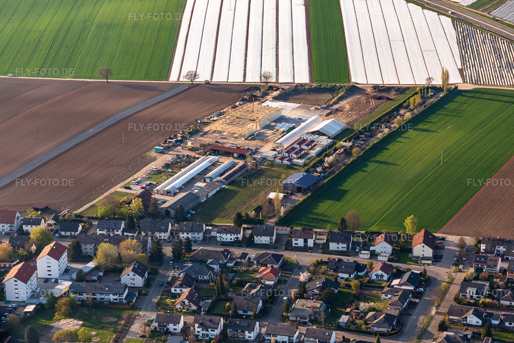 Luftbild: Aussiedlerhof, Biohof Kugelmann in Kandel im Bundesland Rheinland-Pfalz in Deutschland. Foto: IMG_126480.jpg vom 20.04.2021 durch Werner Riehm/FLY-FOTO.de