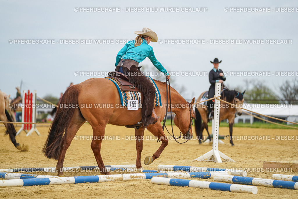 DSC03051 | Pferdegrafie