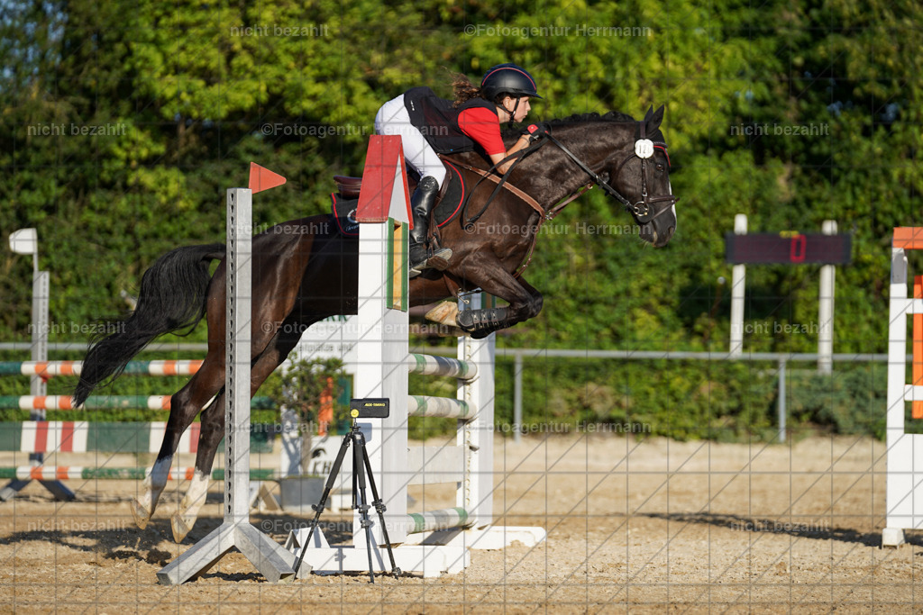 20240824-FAH08769 | Thierhaupten 2024, Bayerisches Landesponyturnier, Turnierbilder, Ponybilder, Turnierfotografen Bayern, Fotoagentur Herrmann