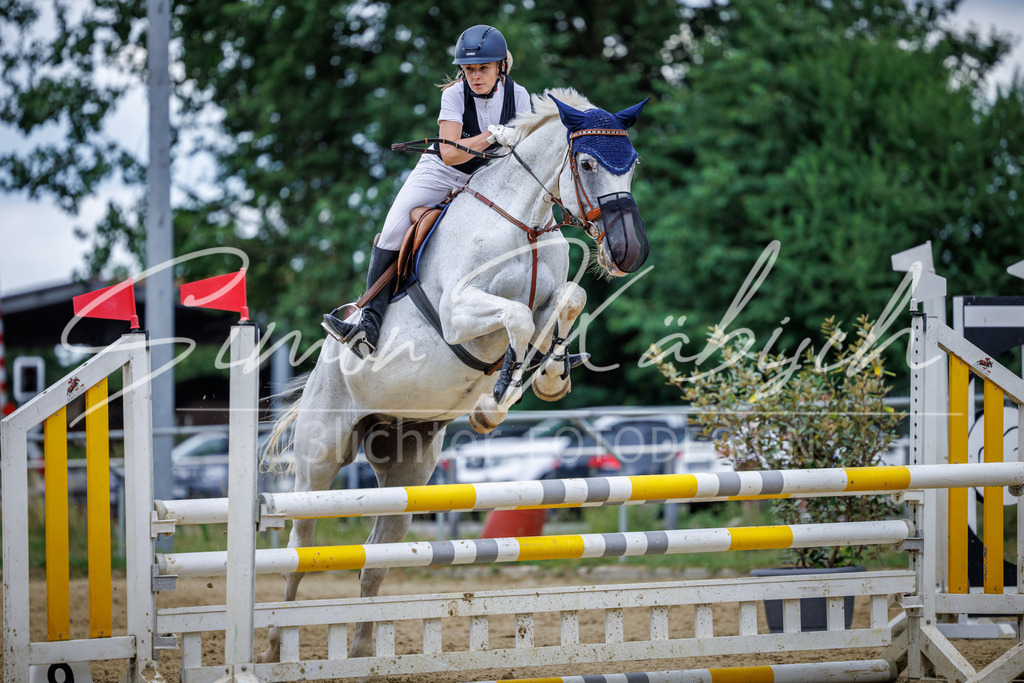 20260705-_3LI5282 | Tierfotografie Pferde, Hunde, Katzen, Haustiere.
Turnierfotografie Reitturniere, Reiten, Springreiten, Dressur in Hanau, dem Main-Kinzig-Kreis und dem Rhein-Main- Gebiet um Frankfurt