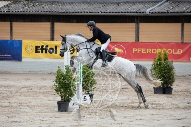 2B4A1590 | pixelfaenger - Realisiert mit Pictrs.com