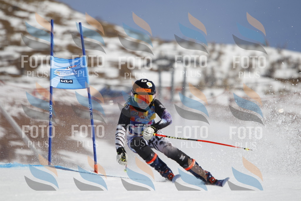 _U3G0370 | holidayphoto