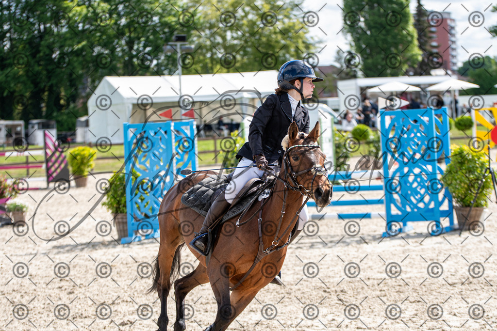 KPT_4855 | andre_photographic