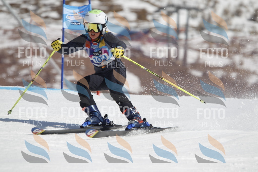 _U3G0476 | holidayphoto