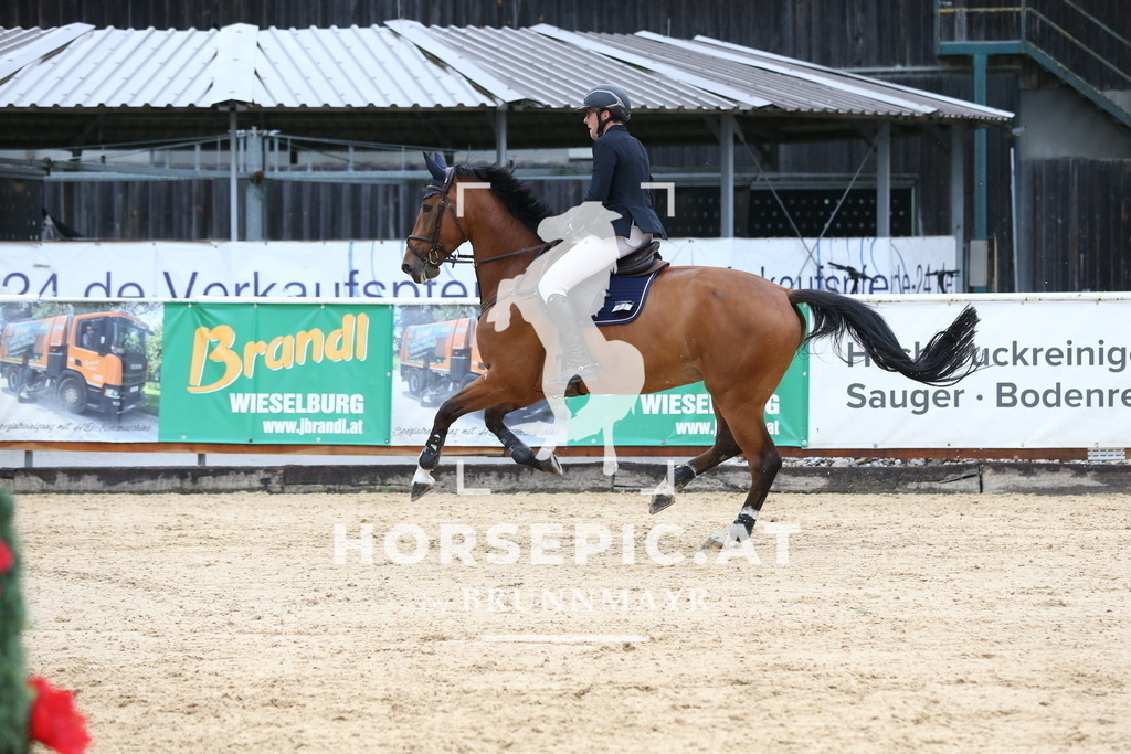 DL2Q6765 | Willkommen bei Brunnmayr - Design & Fotografie – Ihrem Spezialisten für Reitturniere und Pferdeveranstaltungen in Oberösterreich, Salzburg und Bayern! Seit über 17 Jahren sind wir leidenschaftlich dabei.