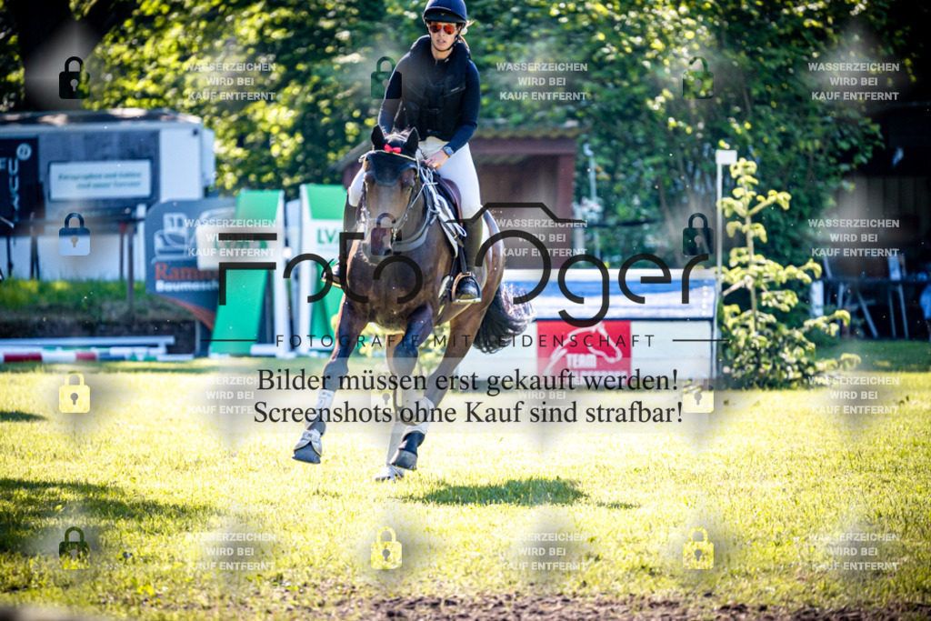2026-05 - Melle Oldendorf-3-0086 | Entdecke hochwertige Reitturnierfotos von Foto Oger. Professionell, emotional und authentisch – jetzt Lieblingsmomente im Shop bestellen.Deutschlandweite Turnierfotografie. - Realisiert mit Pictrs.com