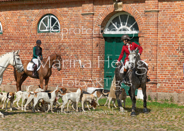 DSC01479_Marina Hewig | Fotografie, FotoArt, PferdesportArt, Pferdesportfotografie, Landschaftsfotografie, Reisefotografie, Reise, Pferde - Realisiert mit Pictrs.com