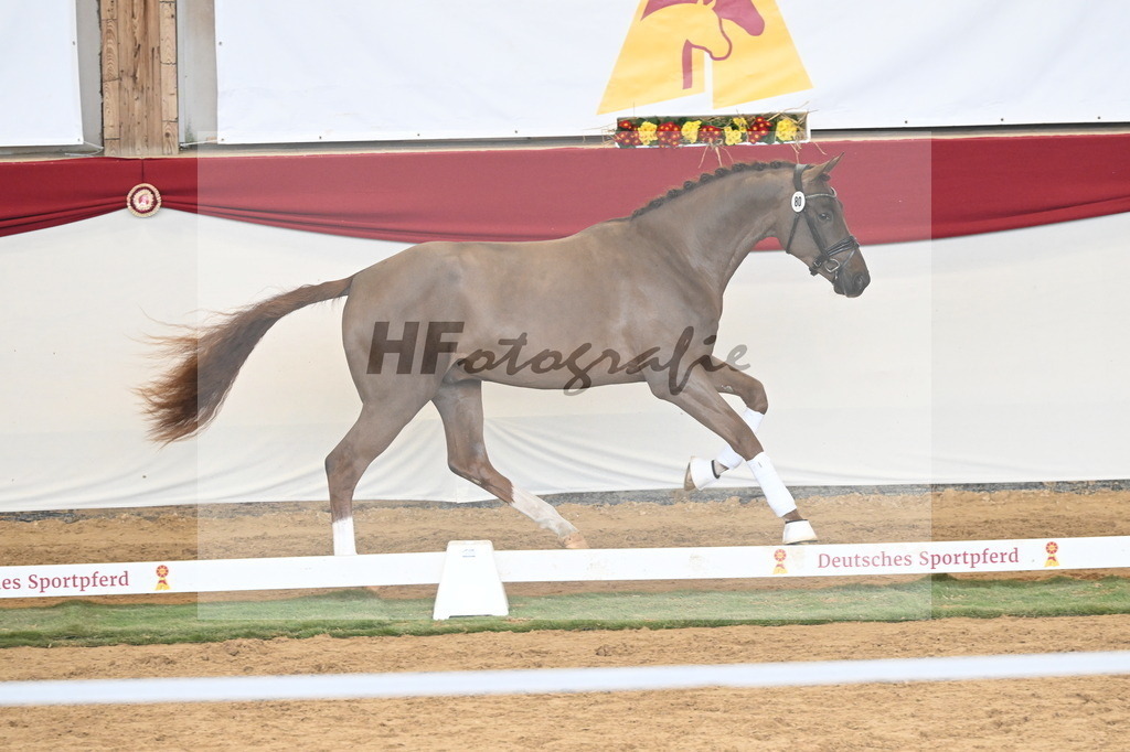 Kat.-Nr. 80 v. Va Bene_Klakow_3261257 | hf-fotografie - Realizzato con Pictrs.com
