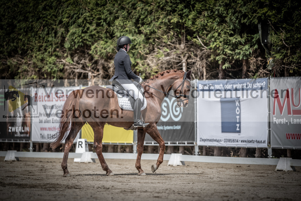 DSC_2887 | equestrian-live-com