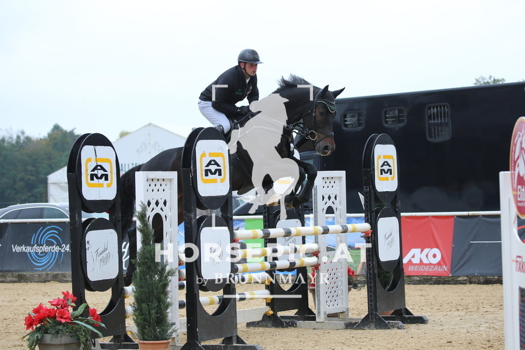 DL2Q1634 | Willkommen bei Brunnmayr - Design & Fotografie – Ihrem Spezialisten für Reitturniere und Pferdeveranstaltungen in Oberösterreich, Salzburg und Bayern! Seit über 17 Jahren sind wir leidenschaftlich dabei.