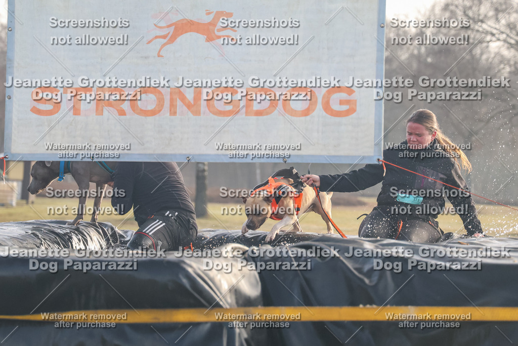 Dog Paparazzi - SD North Sa 830-900-146 | Dog Paparazzi Jeanette Grottendiek Fotografie & Videografie - Realisiert mit Pictrs.com