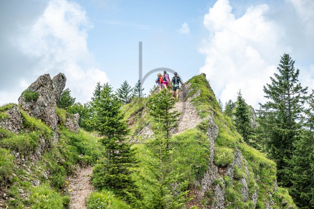 35. Gebirgsmarathon | 35. Gebirgsmarathon 2024 am 03.08.2024 in Immenstadt. Einer der anspruchsvollsten​und ältesten Bergläufe​Deutschlands im Naturpark Nagelfluhkette!(Foto: Dominik Berchtold/www.dberchtold.com)Instagram: @d_berchtold_foto 
