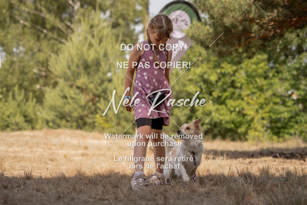 nelerasche_soDD2_295 | nelerasche