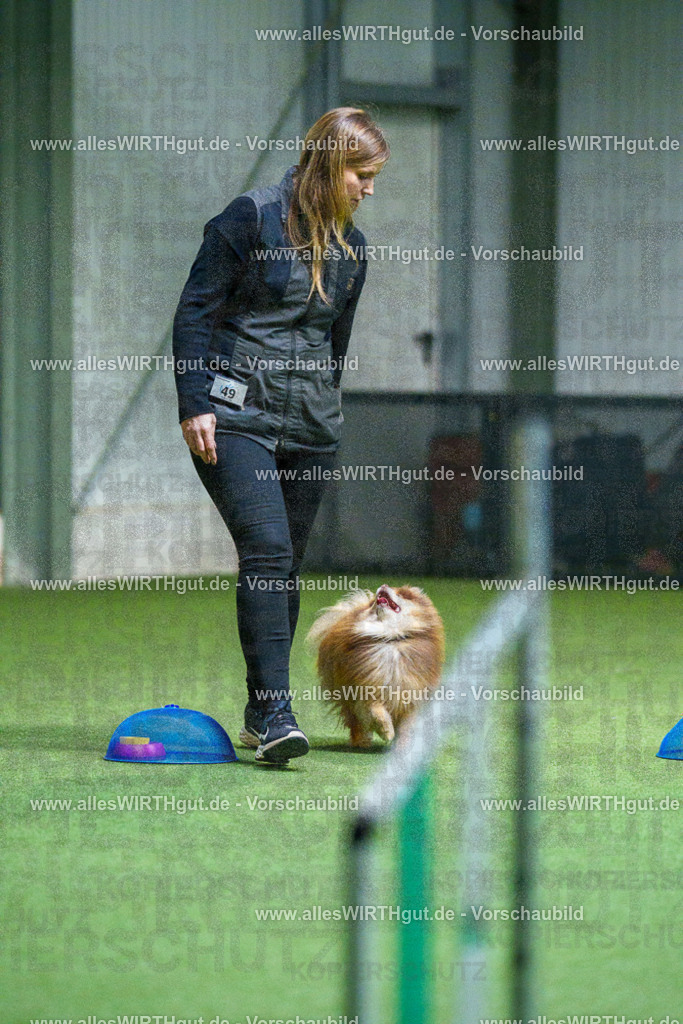 7R501832 | Professionelle Tierfotografie in Mönchengladbach von Daniel Wirth (allesWIRTHgut). Liebevolle & natürliche Bilder von Hunden & Katzen für unvergessliche Erinnerungen.