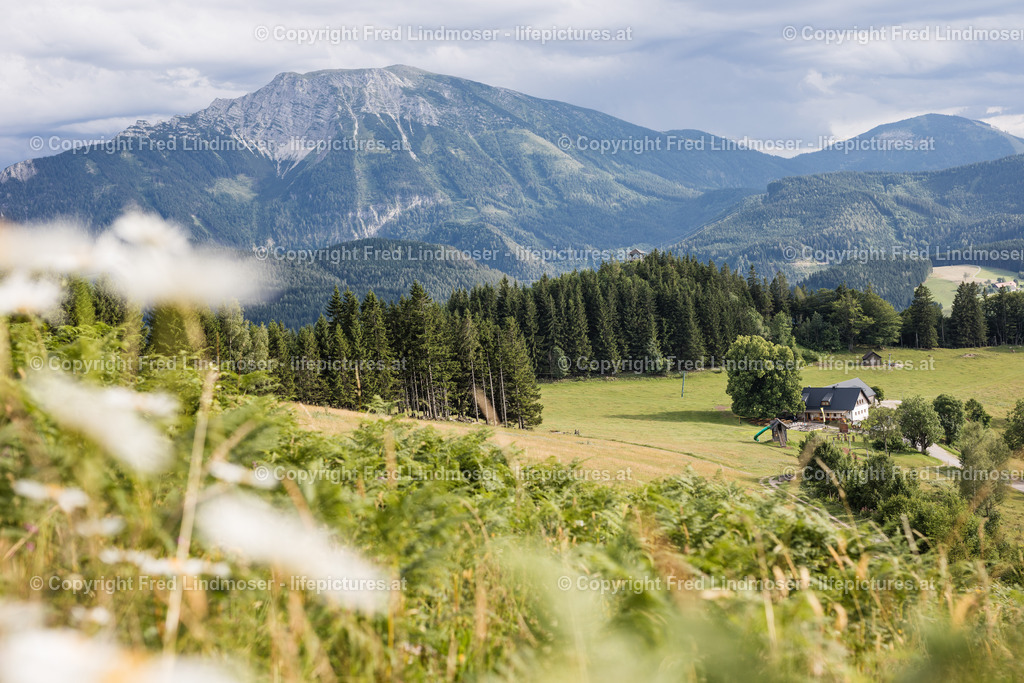 Otscher  (58) | Fotos und Fotoprodukte - Realisiert mit Pictrs.com