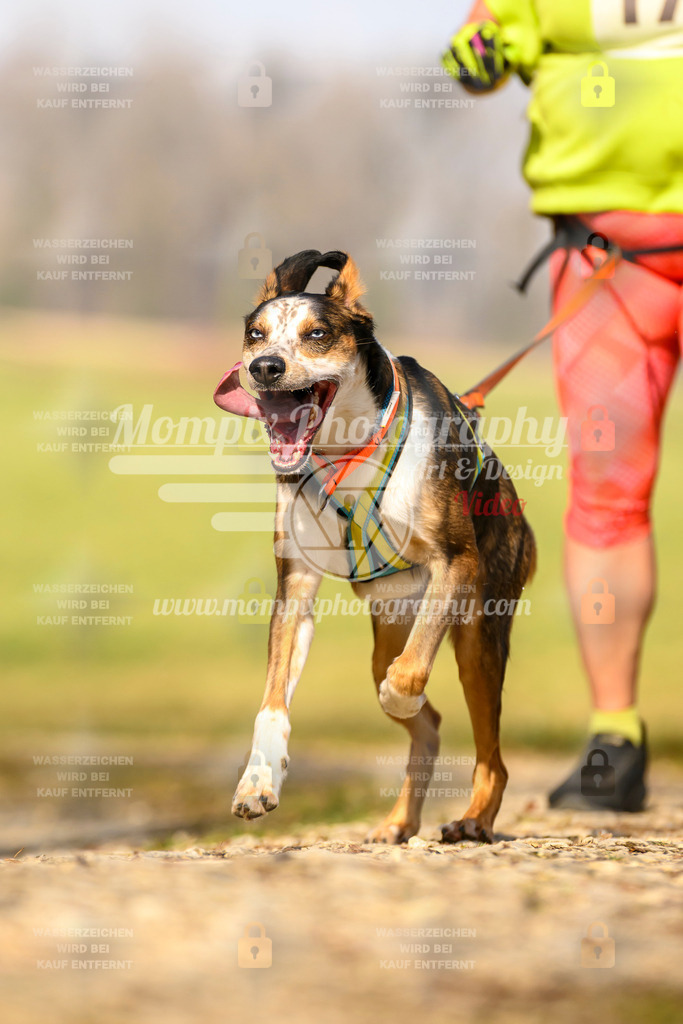 MompixPhotography_6ReiatRennen2026_SA_HappyDog-45 | PayLife